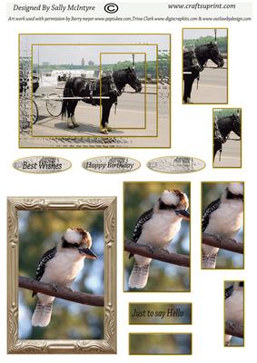 Draft Horse and Kookaburra 2 Card Sheet 01