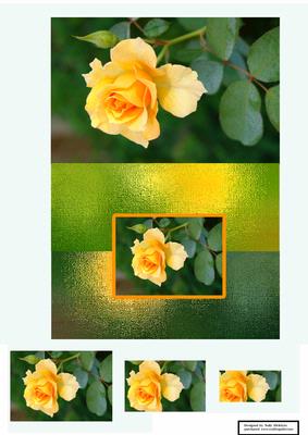 Beautiful Rose Fold Back Card