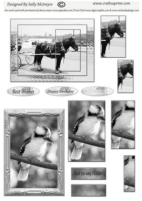 Black and White Draft Horse and Kookaburra 2 Card Sheet 01