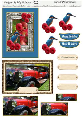 Kingfisher Birds and Vintage Cars 2 Card Sheet