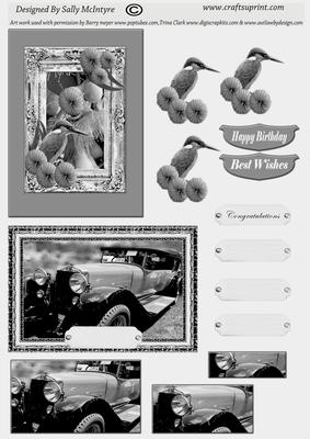 Black and White Kingfisher Birds and Vintage Cars