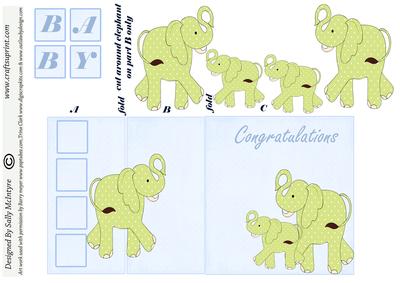 Baby Boy Fold Back Card Wit 3D Elephants