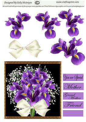 Purple Iris and Babys Breath You Are Special