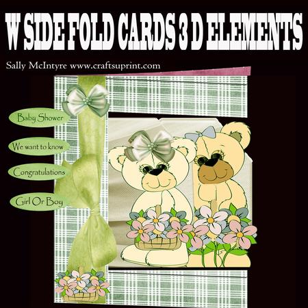 W Fold Baby Shower Boy or Girl We Want to Know
