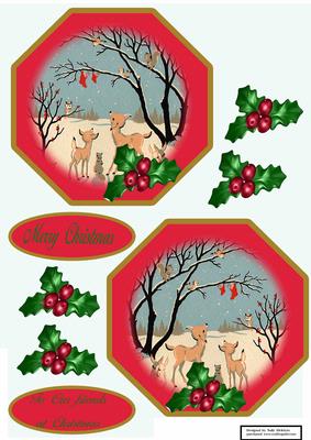 Plate Card in the Forest