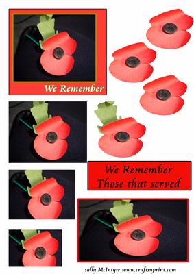 Poppy of Rememberence ,for Those That Served