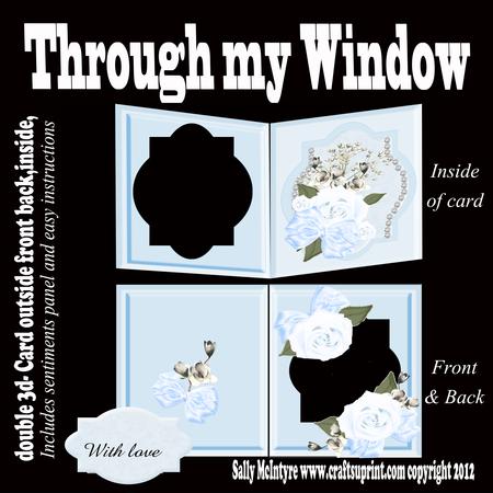Through My Window Double 3D Pic Soft Blue Roses