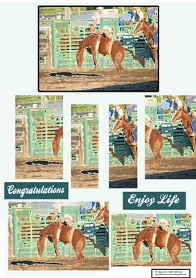 Rodeo Day Enjoy Life Congratulations.