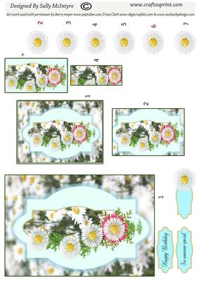2 Card Sheet Fields of Daisys