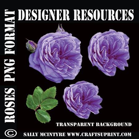 Cut Out Roses Purple and 3 Stage Cut Out Designer Resource