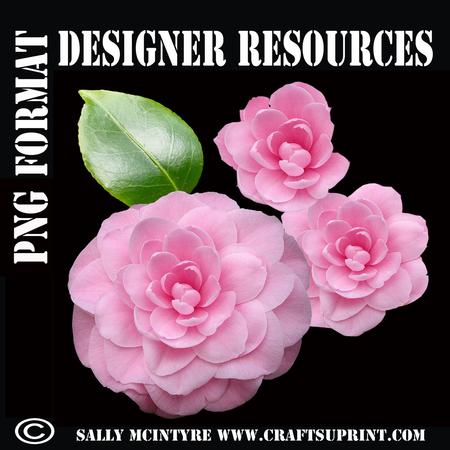 Cut Out Camelia Pink 3 Stage Cut Out Designer Resource