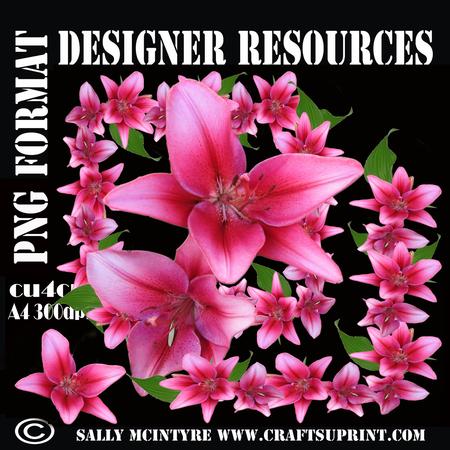 Asiatic Lillies Designer Resources Layers Frames