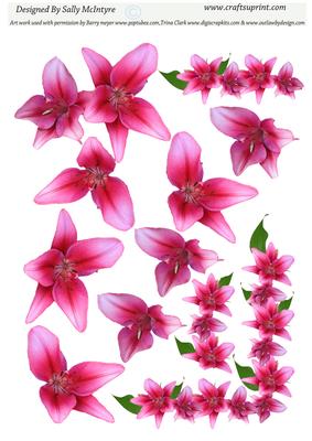 Build a Flower Asiatic Lily