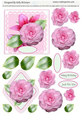 Camelia Beauty 2 Card Sheet Step by Step