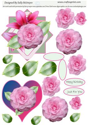 Pretty Pink for All Occasions 2 Card Sheet