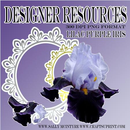 Lilac and Purple Designer Resources