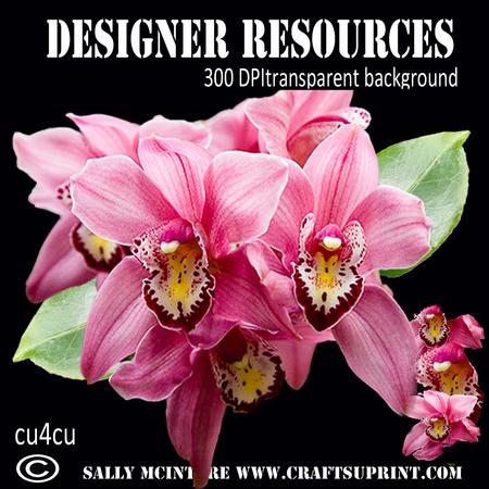 Pretty Pink Layered Orchids