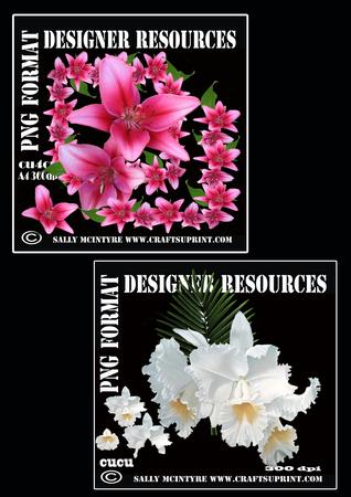 Digital Resources Floral 2