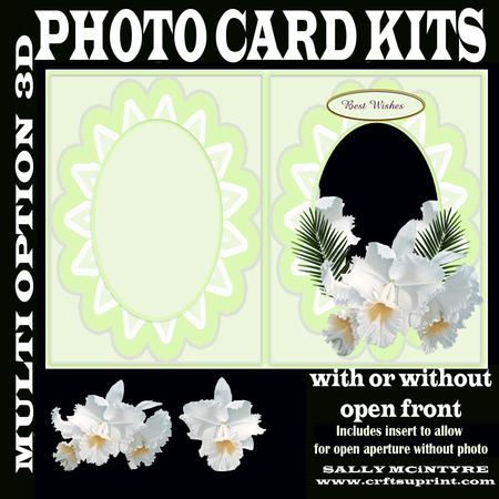 Photo Card or Open Aperture Card Pure Orchids