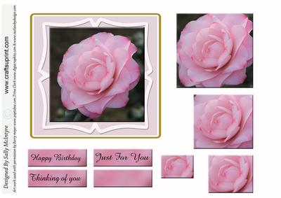 Pink Camelia Pyramid