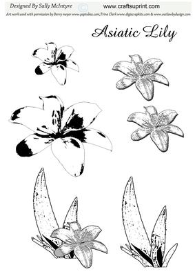 Digital Stamp Asiatic Lily