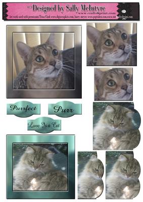 Just Purrfect Cats 2 Card Sheet