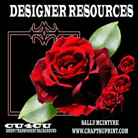 Designer Resource Artistic Papa Meilland Red Rose