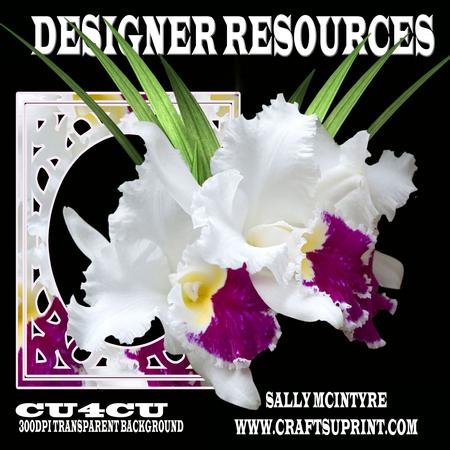 Designer Resources White Orchid Cerise Ruffled Throat