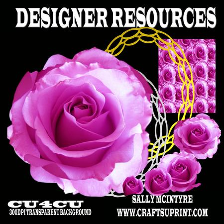 Triple Hot Pink Rose Single with Frames and Background