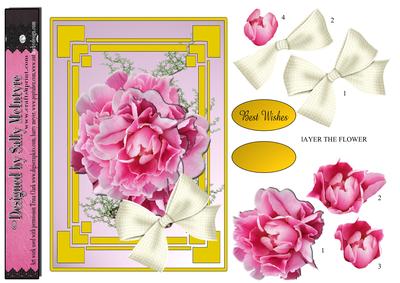 Pink Peony for All Occasions