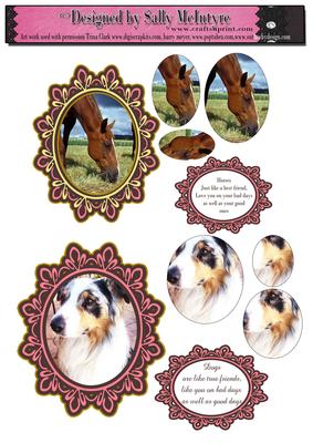 Dogs and Horses Friends of All