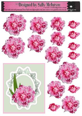 Build a Flower Double Peony Rose