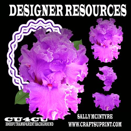 Purple Iris 3 Layer Leaf and Frame Designer Resources