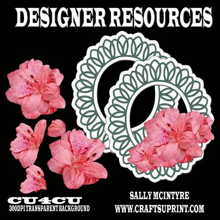 Azaelia Designer Resource 5 Layers Frame and Design Png