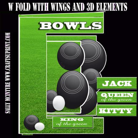 W Fold Lawn Bowls