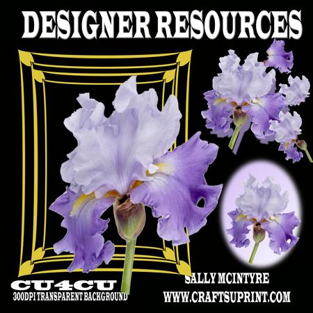 Lilac Iris 6 Layers Frame and Bground 300dpi Png