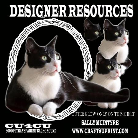 Black and White Cat Designer Resources,300dpi Png