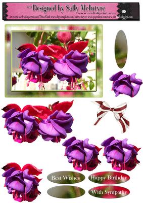 Fuschia Such a Beauty