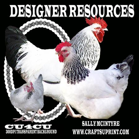 More Chooks Designer Resources 300dpi Png