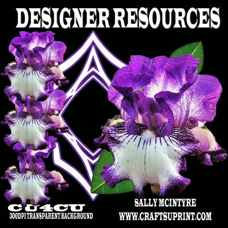 Purple and White Bearded Iris Designer Png