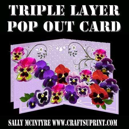Triple Layer Pop Up Only Pansies