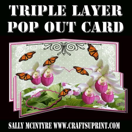 Triple Layer Ladies Slipper Orchid