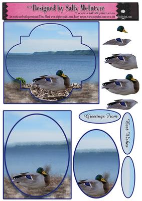 Mississippi Ducks 2 Card Sheet, Envelope to Match is Availab
