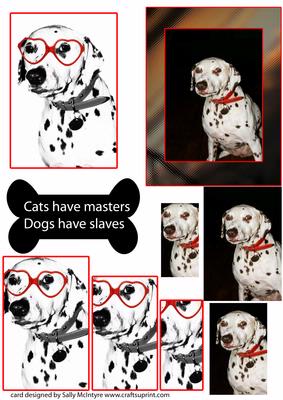 Dalmation Dog Cats Have Masters Dogs Have Slaves