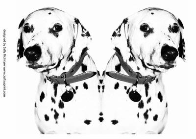Dalmation Shaped Card