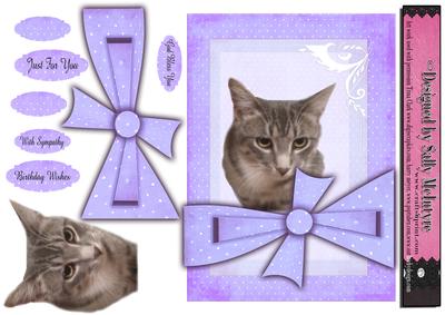 My Best Friend Cates Cat Violet