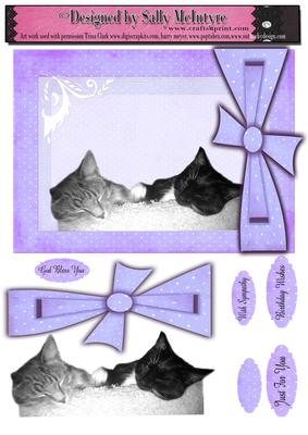 Black and White Cats with Lilac