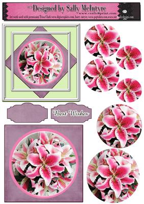 Orchid Round Pyramid 2 Card Sheet