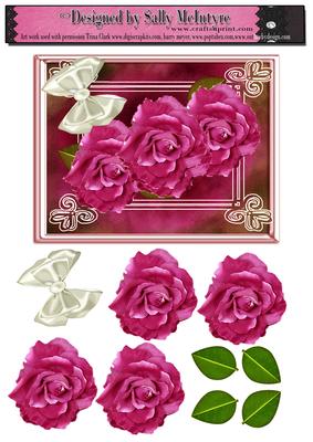 Deep Crimson Roses
