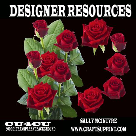 Red Rose Designer Resource, 300dpi Png Format